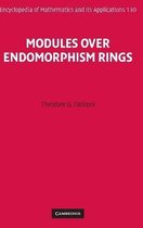 Modules Over Endomorphism Rings