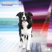 Border Collie - Kalender 2022