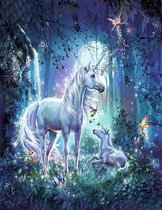 Schilderen op nummer - unicorn - 40 x 50 cm - eenhoorn - sprookje - hobby - volwassenen en kinderen