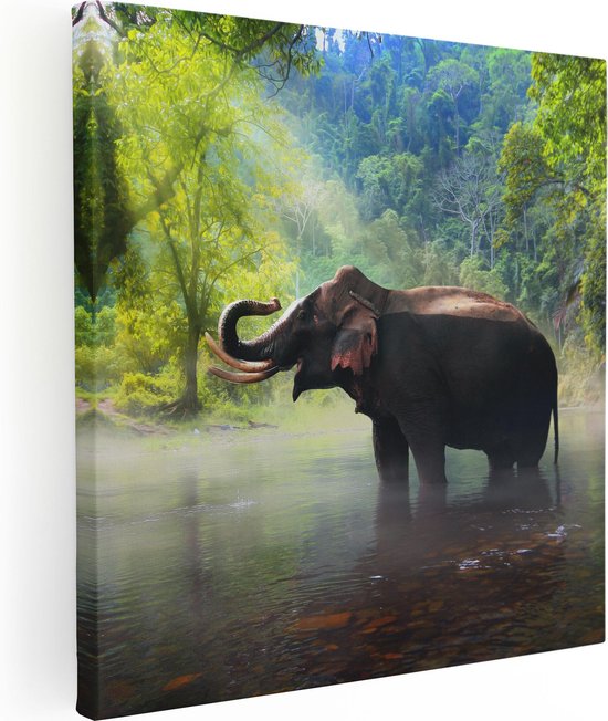 Artaza Peinture Sur Toile Éléphant Dans L' Water - 50x50 - Photo Sur Toile - Impression Sur Toile