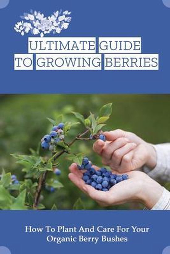 Ultimate Guide To Growing Berries How To Plant And Care For Your