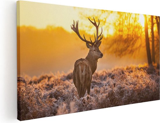 Artaza Canvas Schilderij Hert In Bos Tijdens De Zonsopkomst - 100x50 - Groot - Foto Op Canvas - Canvas Print