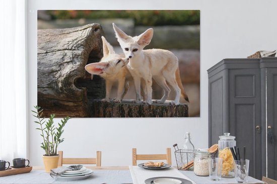 Deux adorables renards Fennec sur un tronc d'arbre Toile 180x120 cm - Tirage photo sur Toile (Décoration murale salon / chambre) / Animaux sauvages Peintures sur toile XXL / Groot format!