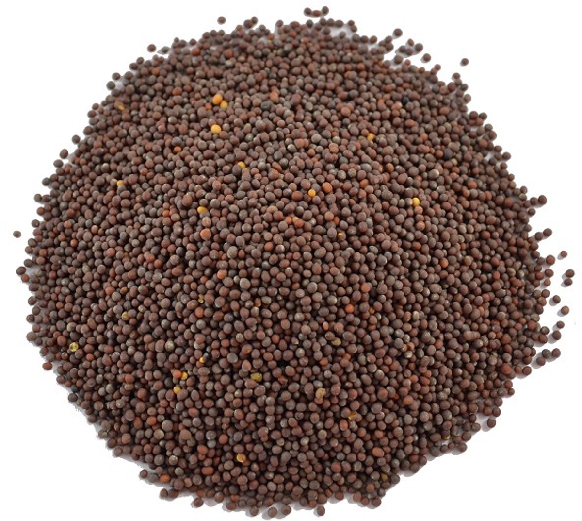 De Kruidenbaron - Mosterdzaad bruin heel - strooibus 250 gram