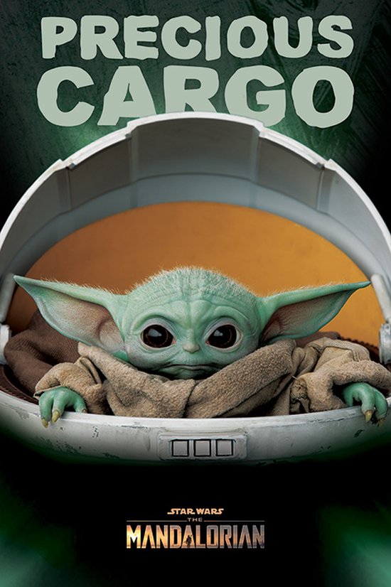 Star Wars: The Mandalorian - Precious Cargo - Maxi Poster