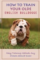How To Train Your Olde English Bulldogge: Easy Training Methods Any Owners Should Know