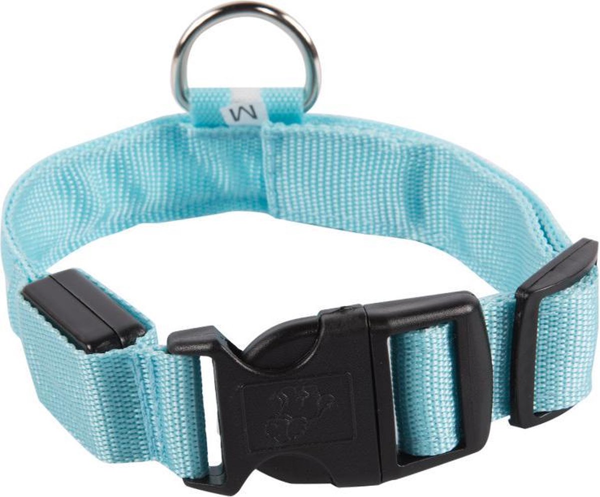 Smartphonica LED lichtband - Lichtgevend - Hondenhalsband - Inclusief Batterijen - Blauw - L