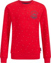 WE Fashion Jongens sweater met dessin