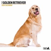 Golden Retriever - Kalender 2022