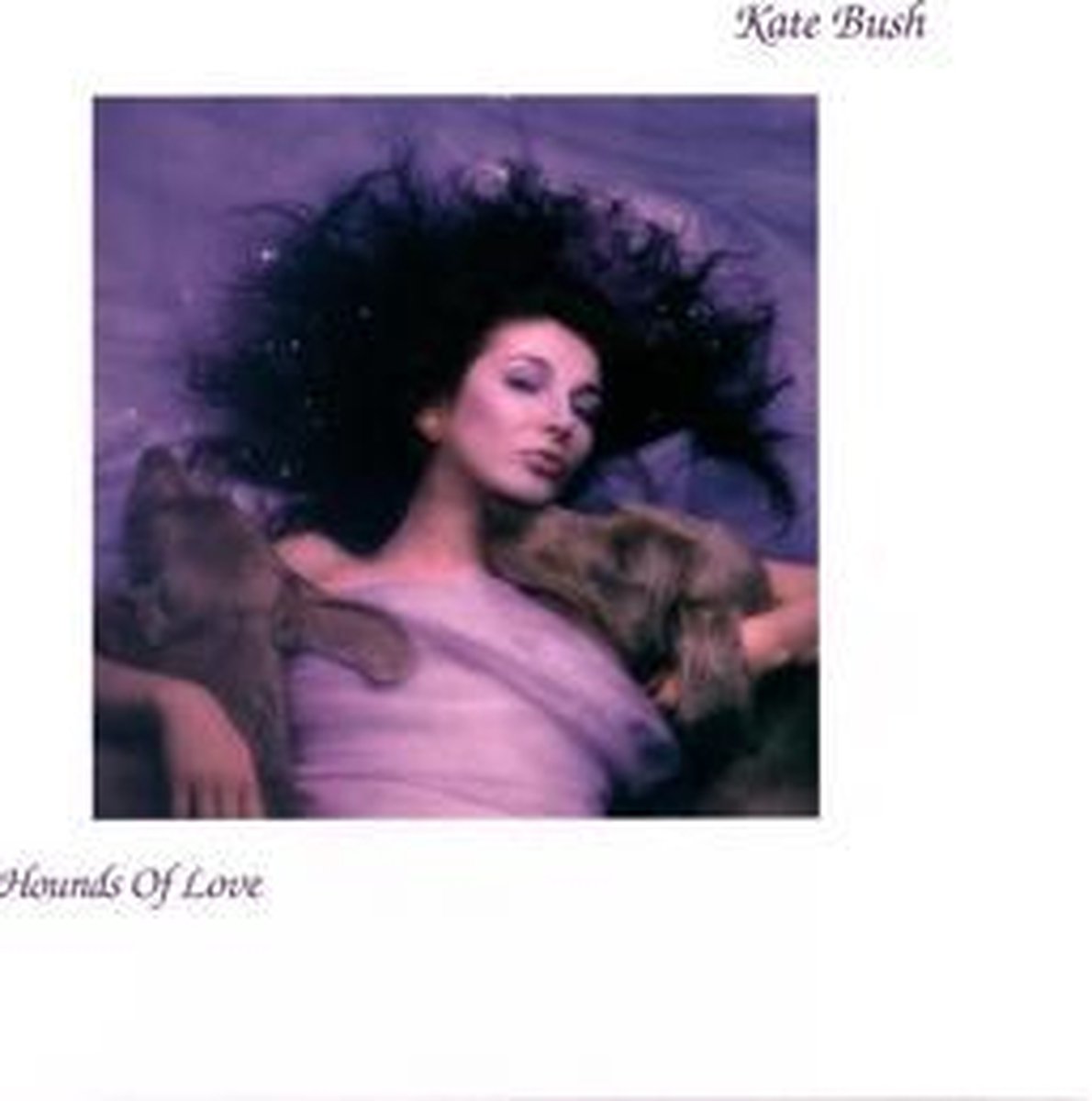 Hounds of Love (LP), Bush,kate | Muziek | bol