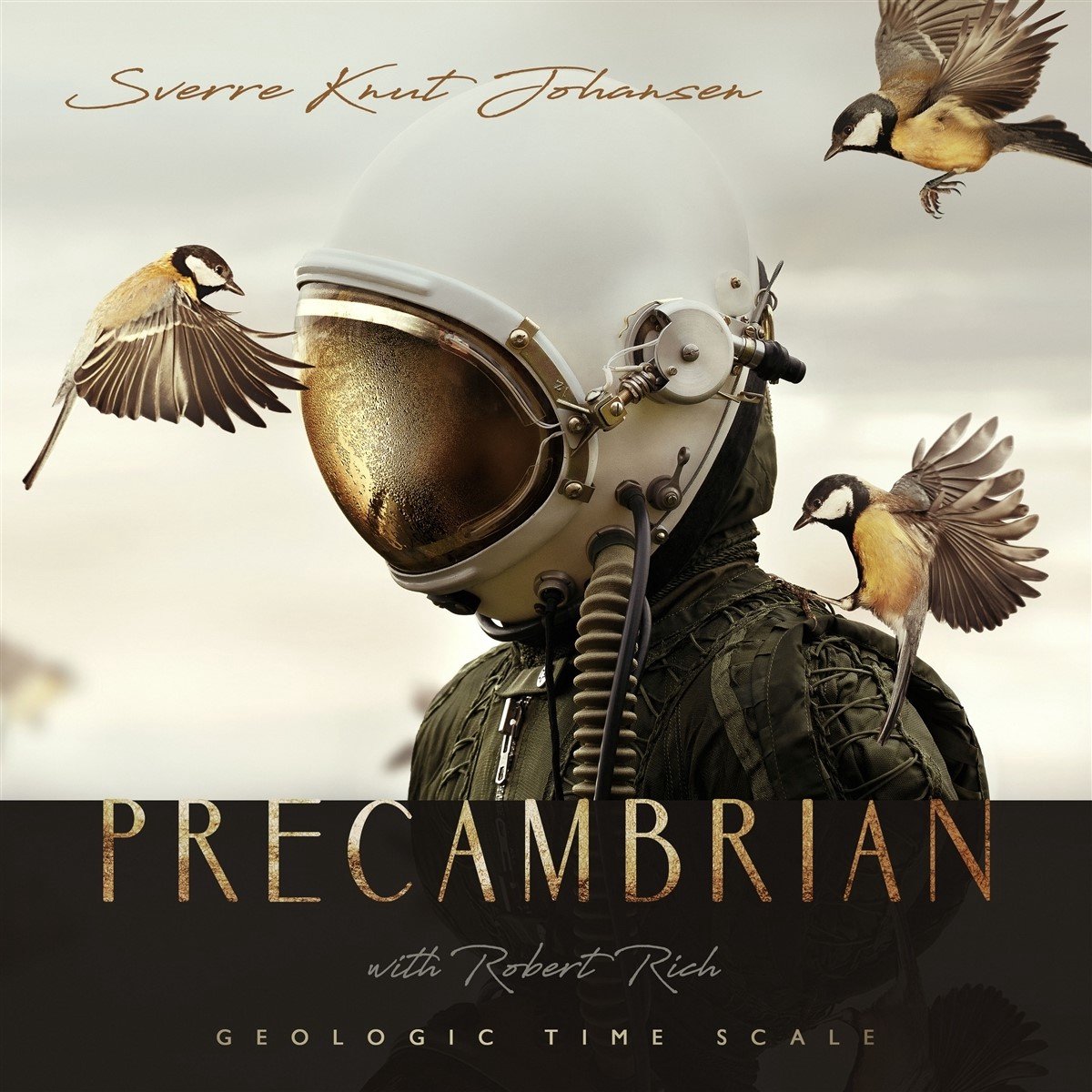Sverre Knut Johansen With Robert Rich - Precambrian (CD)