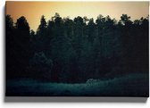 Walljar - Campside Forest - Muurdecoratie - Canvas schilderij