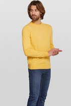 Van Gils - Effen pullover Basico Crew van merinowol Heren