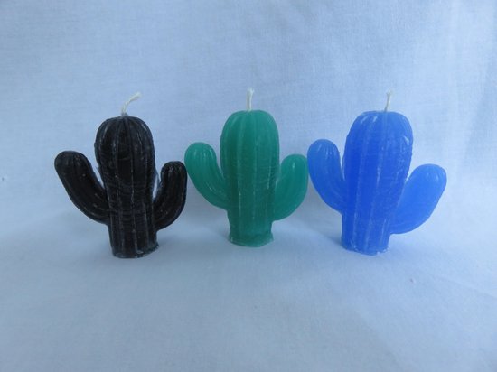 Kaars cactus set van 3, zwart zwarte orchidee geur, groen appelgeur, blauw oceaangeur.
