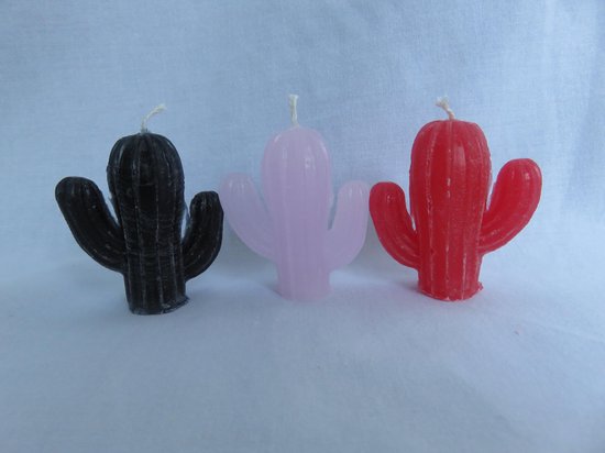 Kaars cactus set van 3, zwart zwarte orchidee geur, roze lovegeur, rood rozengeur