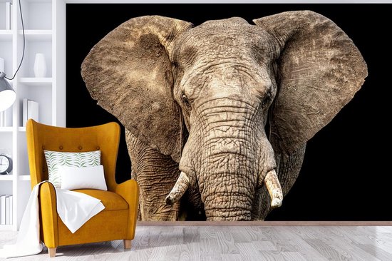 Papier peint - Papiers Papier peint photo Éléphant - Portrait - Zwart - Largeur 390 cm x Hauteur 260 cm