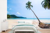 Papier peint - Papier peint photo Plage - Palmiers - Balançoire - Largeur 525 cm x hauteur 350 cm