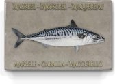 makreel op soft taupe achtergrond  - niet van echt te onderscheiden schilderijtje op hout - makreel in 6 talen -  Laqueprint