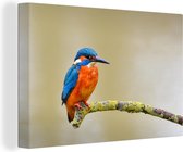 Tableau Toile Vogel - Martin Pêcheur - Branche - 140x90 cm - Décoration murale