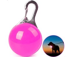 Professor Q - Verlichting Hond - Led Lampje Honden - Lampje Hondenhalsband - Honden Lampje Halsband - Hondenlampje - Roze
