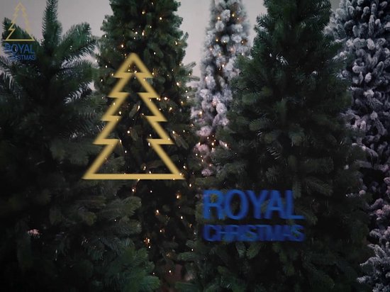 Royal Christmas® Sapin de Noël artificiel Washington 210 cm
