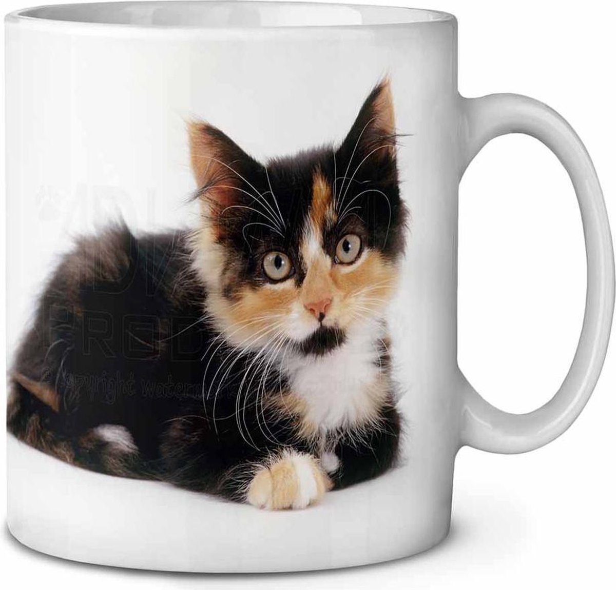 Schilpadkat kitten Koffie-thee mok