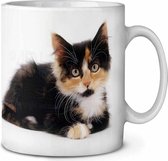 Schilpadkat kitten  Koffie-thee mok
