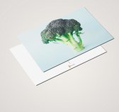 Cadeautip! Luxe Groente Ansichtkaarten set 10x15 cm | 24 stuks