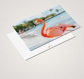 Cadeautip! Luxe Flamingo Ansichtkaarten set 10x15 cm | 24 stuks