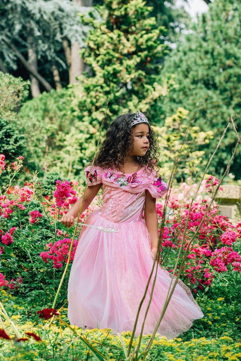 Prinsessenjurk meisje - Roze vlinders - Verkleedkleren meisje - Maat 98/104 - Accessoires - Carnavalskleding kinderen — afbeelding 3