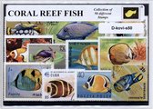 Koraalvissen – Luxe postzegel pakket (A6 formaat) : collectie van 50 verschillende postzegels van koraalvissen – kan als ansichtkaart in een A6 envelop - authentiek cadeau - kado -