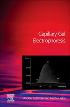 Capillary Gel Electrophoresis & Related