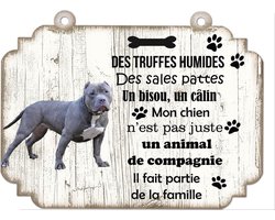 Tableau Déco - American Bully