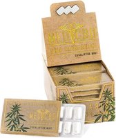 MediCBD - Eucaliptus Mint CBD Chewing Gum 12-pack - Display - 24