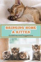 Bringing Home A Kitten: Guidelines And Suggestions