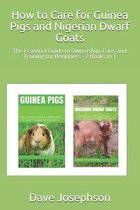 How to Care for Guinea Pigs and Nigerian Dwarf Goats