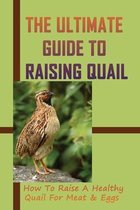 The Ultimate Guide To Raising Quail: How To Raise A Healthy Quail For Meat & Eggs