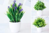 Kunstplanten in Bloempot – Onderhoudsarm – Set van 5