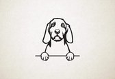 Wirehaired Vizsla - Vizsla Draadhaar - hond met pootjes - XS - 22x23cm - Zwart - wanddecoratie