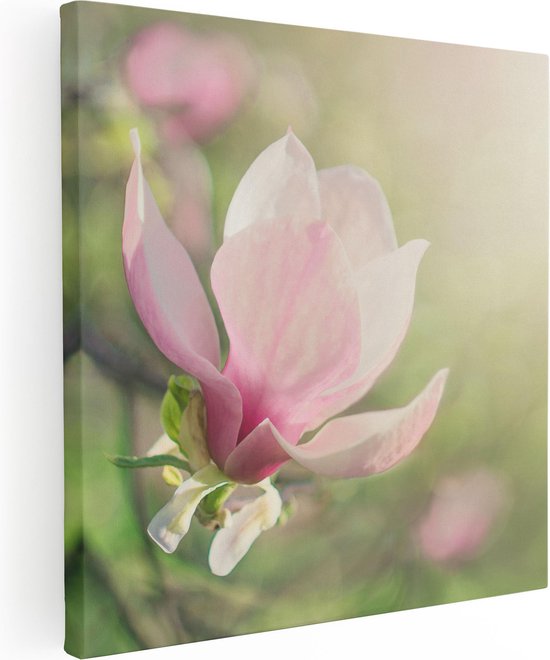 Artaza Canvas Schilderij Roze Magnolia Bloem  - 40x40 - Klein - Foto Op Canvas - Canvas Print