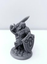 3D Printed Miniature - Paladin Male 01 - Dungeons & Dragons - Hero of the Realm KS