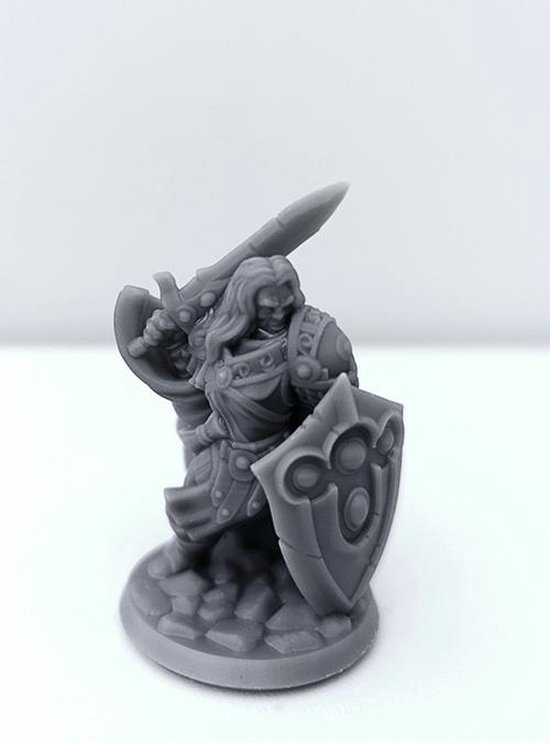 Afbeelding van het spel 3D Printed Miniature - Paladin Male 01 - Dungeons & Dragons - Hero of the Realm KS
