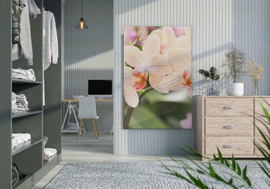 Artaza Peinture sur Toile Fleurs d'Orchidées Witte Rayées - 60x90 - Photo sur Toile - Impression sur Toile