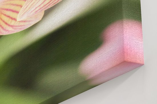 Artaza Peinture sur Toile Fleurs d'Orchidées Witte Rayées - 60x90 - Photo sur Toile - Impression sur Toile