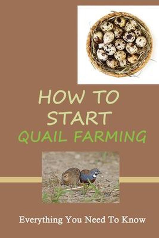How To Start Quail Farming Everything You Need To Know, Mohammad Dusky