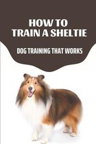 How To Train A Sheltie: Dog Training That Works