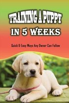 Training A Puppy In 5 Weeks: Quick & Easy Ways Any Owner Can Follow