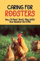 Caring For Roosters: How To Feed, Treat, Play With Your Rooster As A Pet