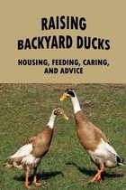 Raising Backyard Ducks: Housing, Feeding, Caring, And Advice