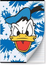 Donald Duck schriften Lijn A4 - 2 stuks
